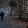 نگارخانه متن نگار 1MB
عکاس: شمیم موسوی  تنهایی 