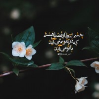 قمم مصمم النصوص imaa_art ✅