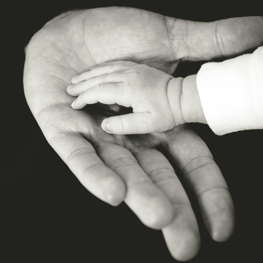 نگارخانه متن نگار   پدرانه 