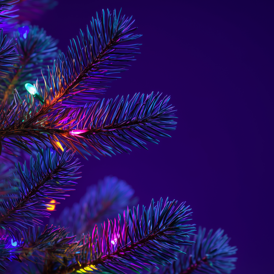 نگارخانه متن نگار   طبیعت  مینیمال  زمستون 