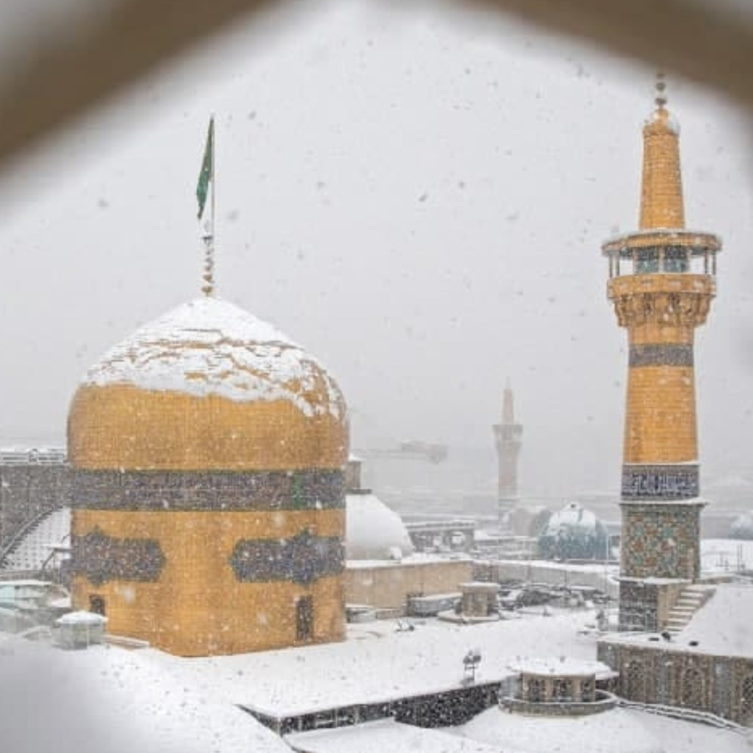 نگارخانه متن نگار   امام رضا (ع) 