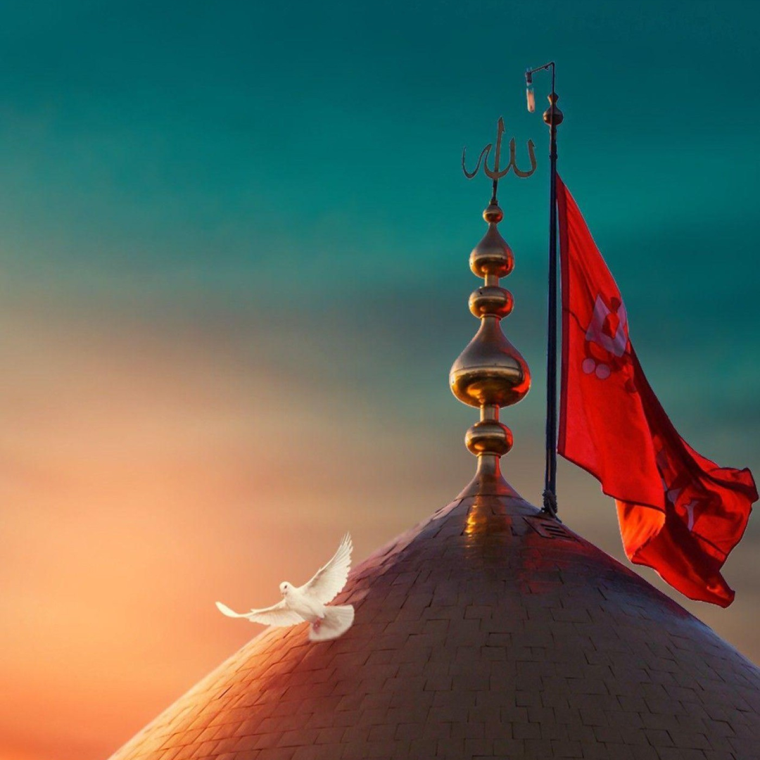 نگارخانه متن نگار   امام حسین (ع) 