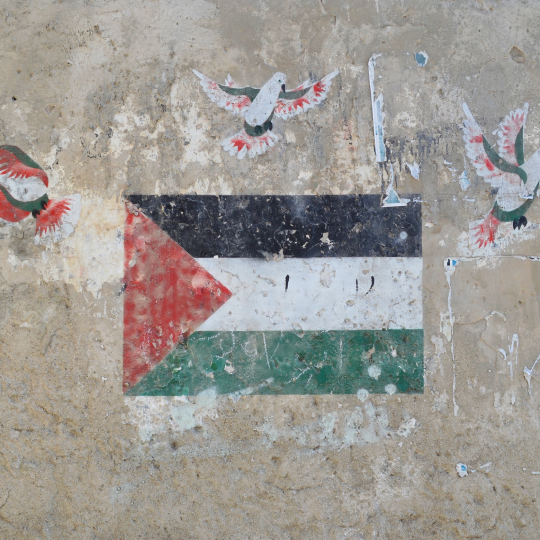 نگارخانه متن نگار   فلسطین 