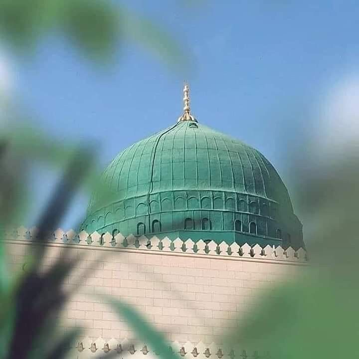 نگارخانه متن نگار   پیامبر مهربانی 