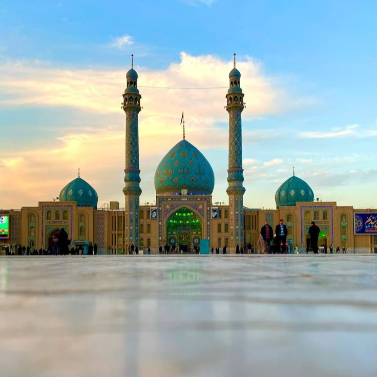 نگارخانه متن نگار   گل نرگس 
