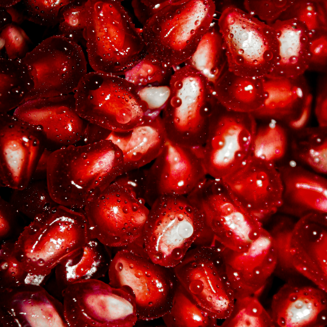 نگارخانه متن نگار   یلدا 