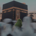 نگارخانه متن نگار 367KB  گل نرگس 