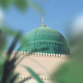 نگارخانه متن نگار 447KB  پیامبر مهربانی 