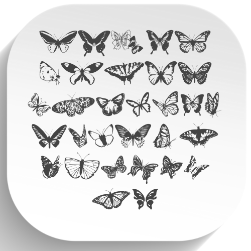 فونت سمبل پروانه