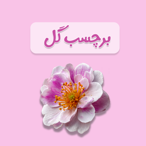 برچسب گل