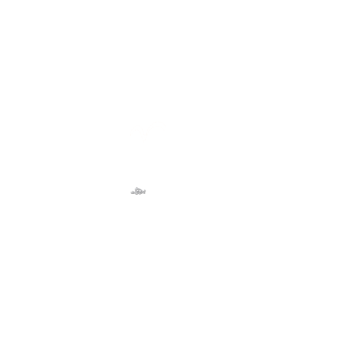 تایپوگرافی محمد مصطفی ص به قلم میم دخت
