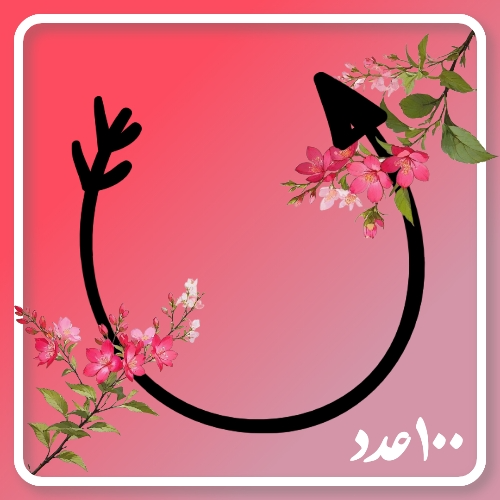 فلش ‌ ‌