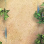 بکگراند ولادتی