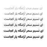 قلم فارسی وزیر