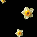وکتور گل