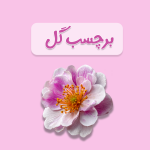 برچسب گل