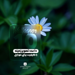 ۱۰ عدد پس زمینه