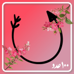 فلش ‌ ‌
