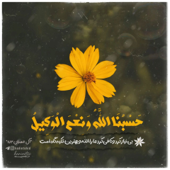 برترین‌ها متن نگار طیبه مرادی