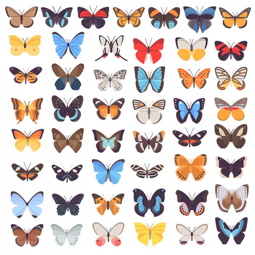 مجموعة ملصقات الفراشة
