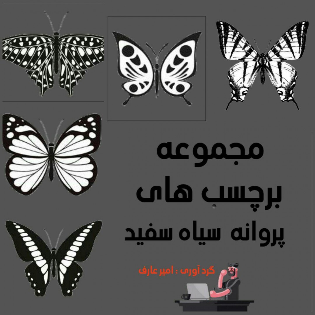 Set of black and white butterfly stickers