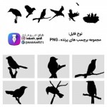 Collection of bird stickers on the branch