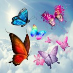 مجموعه کامل برچسب پروانه