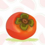 Persimmon sticker