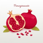 Pomegranate tag set 3